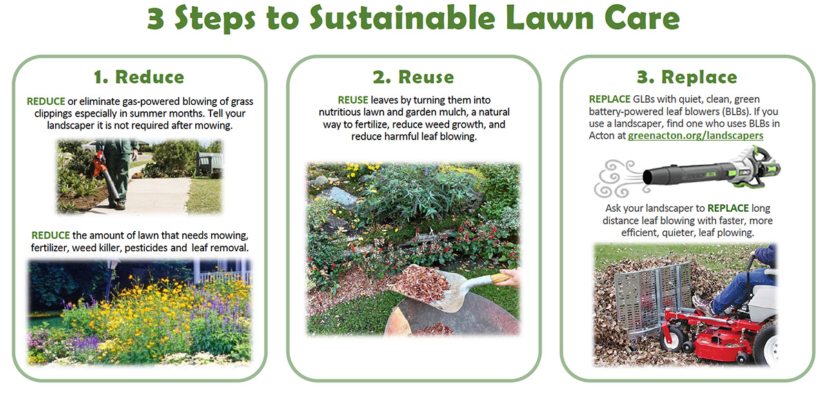 Sustainable Lawn Care: BLBs + Leaving the Leaves!